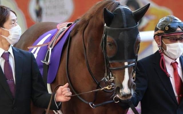 3歳マイル王決定戦・NHKマイルC　GWは重賞が目白押し/今週の競馬界の見どころ