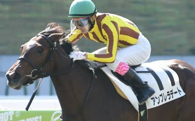 【先週のJRA抹消馬】重賞4勝マスターフェンサー、重賞2勝サトノアーサー、ダイワスカーレットの仔アンブレラデートなど
