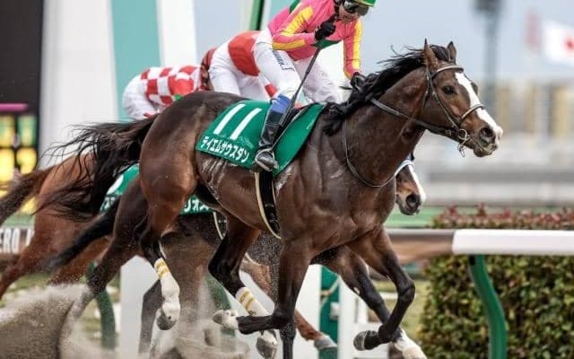 【船橋・かしわ記念枠順確定】テイエムサウスダンは3枠3番、ショウナンナデシコは1枠1番