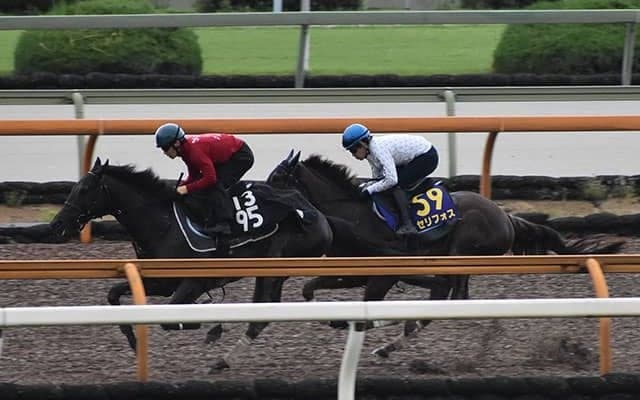 【NHKマイルC想定騎手】セリフォスは福永祐一騎手、ダノンスコーピオンは川田将雅騎手