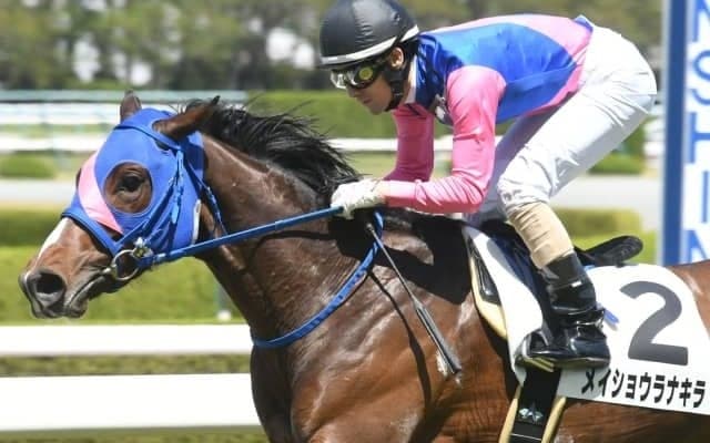 【京都新聞杯展望】ダービーに向けた重要レース、あの馬に期待したい