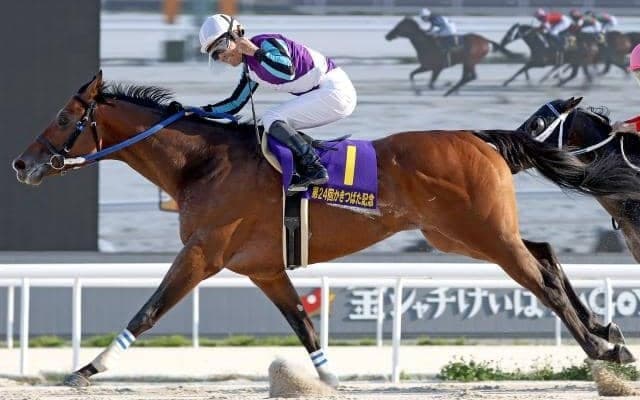 【名古屋・かきつばた記念結果】兵庫のイグナイターが抜け出してダートグレード連勝