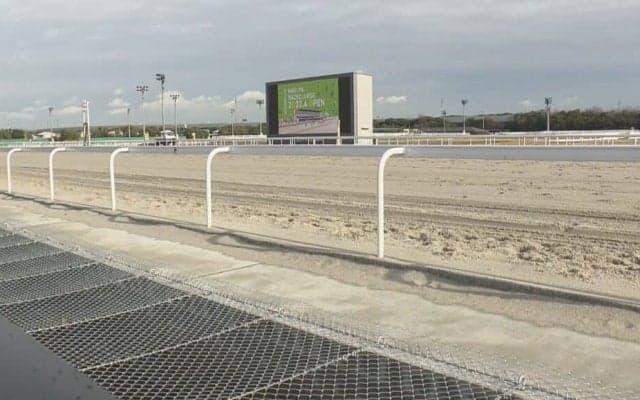 【かきつばた記念】イグナイターが交流重賞連勝！武豊ヘリオスは2着