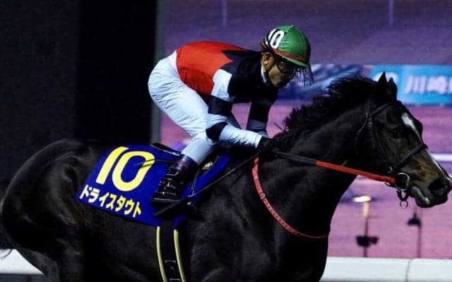 【兵庫CS】ドライスタウトは大外へ