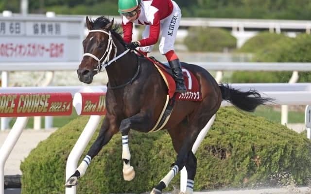 【園田・兵庫CS結果】ブリッツファングが8馬身差圧勝で重賞初V　2歳王者ドライスタウトは4着