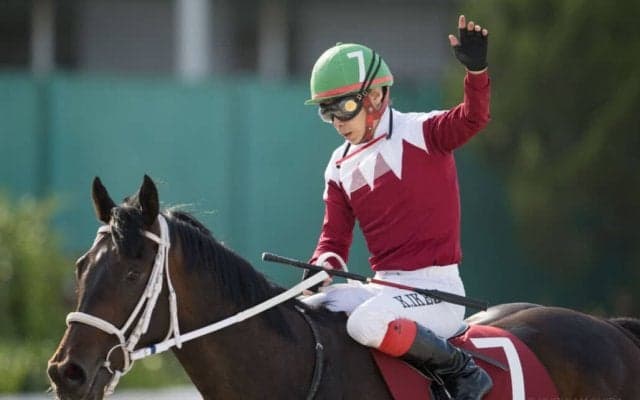 【兵庫CS】池添謙「直線で勝ちを確信」ブリッツファングが8馬身差圧勝