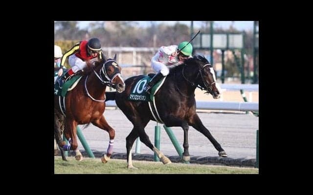 NHKマイルＣでは外せないダイワメジャー産駒。より有力なのは「キー血統」を持つ１頭