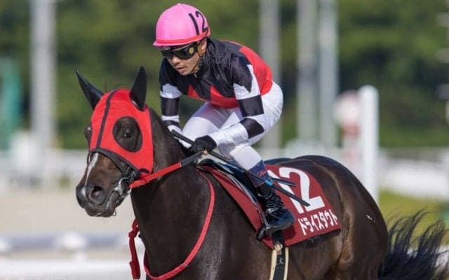 【兵庫CS】戸崎「スタートで躓いた」レース後ジョッキーコメント