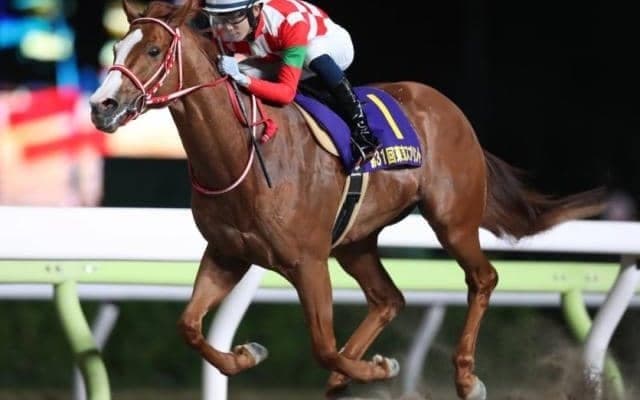 【次走】ジャスティンは北海道スプリントCに登録