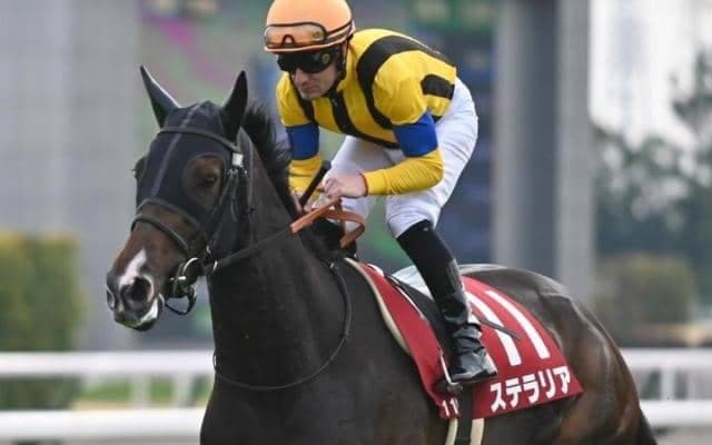 【新潟大賞典出走馬・騎手確定】ステラリア＆川須栄彦騎手、シュヴァリエローズ＆松山弘平騎手など15頭