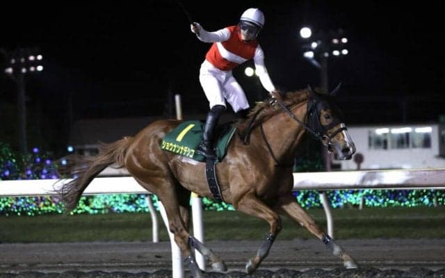 【かしわ記念】ショウナンナデシコが男馬を撃破！交流G1初制覇