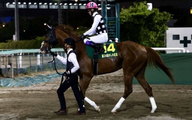 【かしわ記念】武豊「良い時の走りではない」古豪インティは7着
