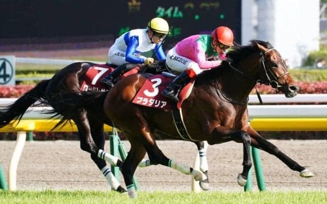 【青葉賞】プラダリアが抜け出す！ダービーの権利獲得