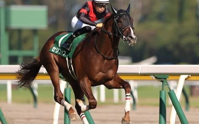 【NHKマイルC枠順確定】セリフォスは2枠4番、ダノンスコーピオンは大外8枠18番