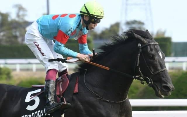 【京都新聞杯枠順確定】ブラックブロッサムは7枠10番、ポッドボレットは8枠12番