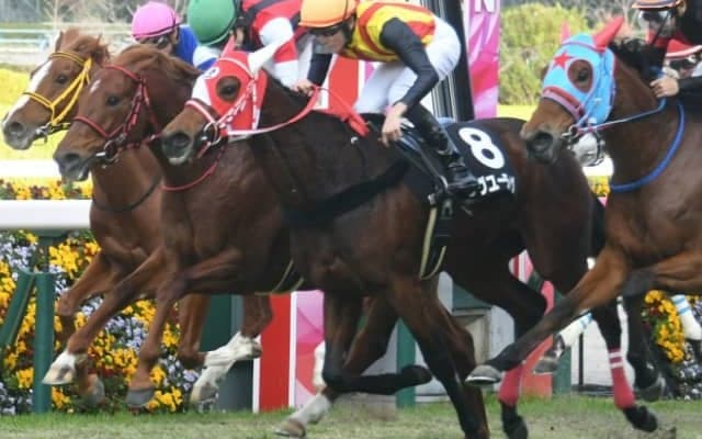 【次走】ラヴユーライヴはマーメイドSで復帰予定　兄姉にリアルスティール＆ラヴズオンリーユー