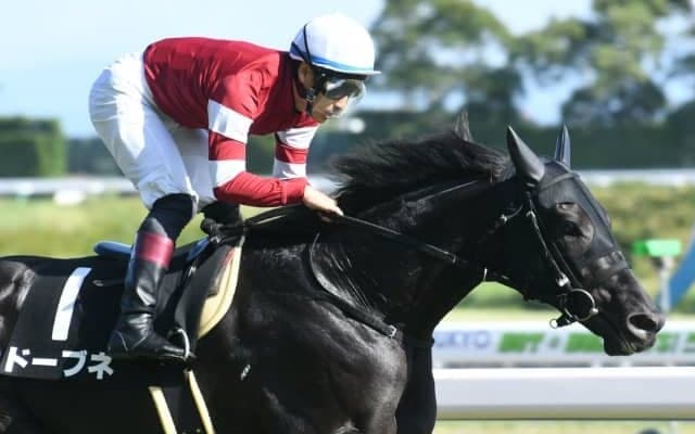 【今日の注目ポイント】中京で京都新聞杯、東京ではダービーTR・プリンシパルS
