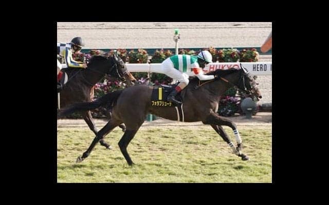 NHKマイルＣは多士済々のメンバー構成ゆえ「荒れる」。狙いは人気の盲点となるクラシック組