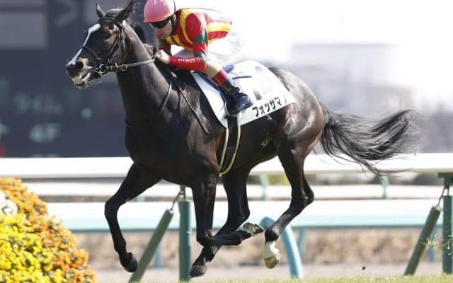 【新潟4R・障害未勝利】フォッサマグナが“5秒1”差の圧勝劇　藤沢和雄厩舎からの転厩初戦