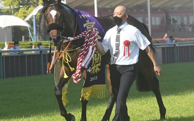 【JRA】3歳重賞1番人気は今年わずか2勝…京都新聞杯は8番人気アスクワイルドモアがV