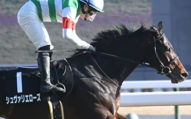  【新潟大賞典前日オッズ】シュヴァリエローズが4.0倍で1番人気