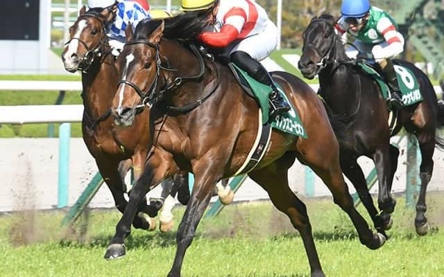 【AI予想・NHKマイルC】重賞勝ち馬に妙味あり！ 互角の勝負も人気落ちの「あの馬」に注目