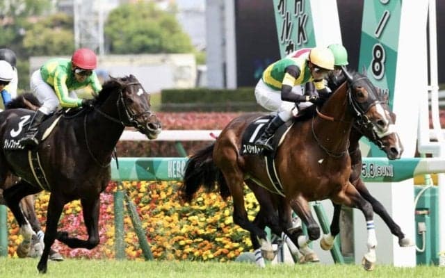 【秩父特別】エピファネイア産駒 スペシャルドラマが3勝目