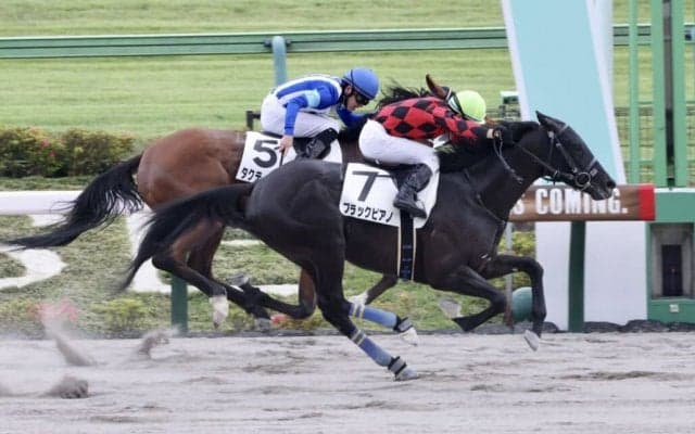 【東京5R】断然人気ブラックピアノが初勝利