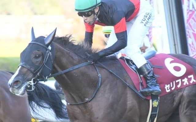 【今日の注目ポイント】3歳マイル王決定戦・NHKマイルC、KYダービーにクラウンプライド参戦など