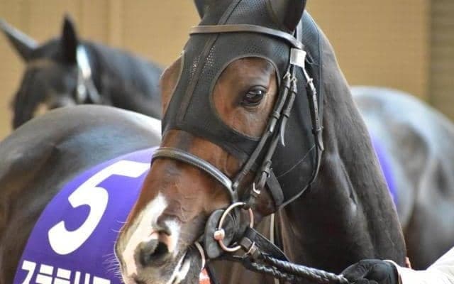 【新潟大賞典予想】長い直線コースは向く、波乱傾向のハンデ重賞で改めて期待