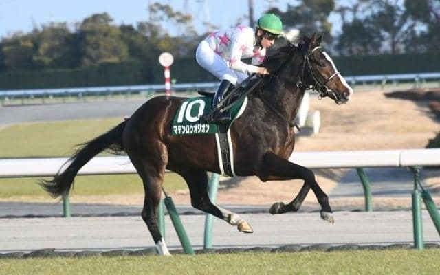 【NHKマイルC】2桁人気を積極的に入れた馬券で挑戦！ カギは8枠・ダイワメジャー・鞍上○○で？