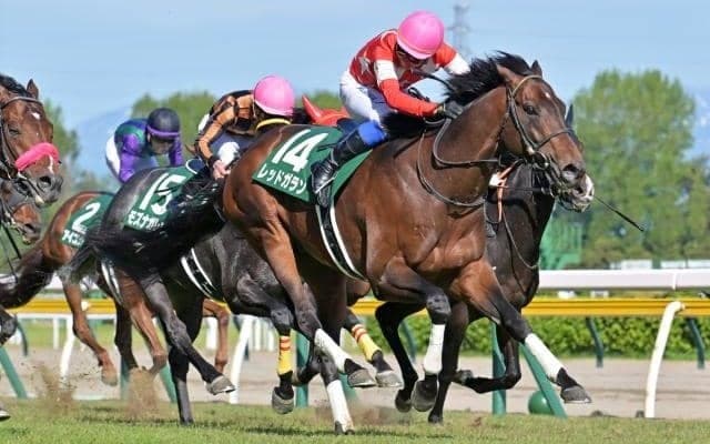 【新潟大賞典結果】7番人気レッドガランがゴール前で抜け出して重賞2勝目