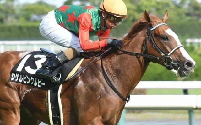 【鞍馬S結果】シゲルピンクルビーが押し切って久々の白星