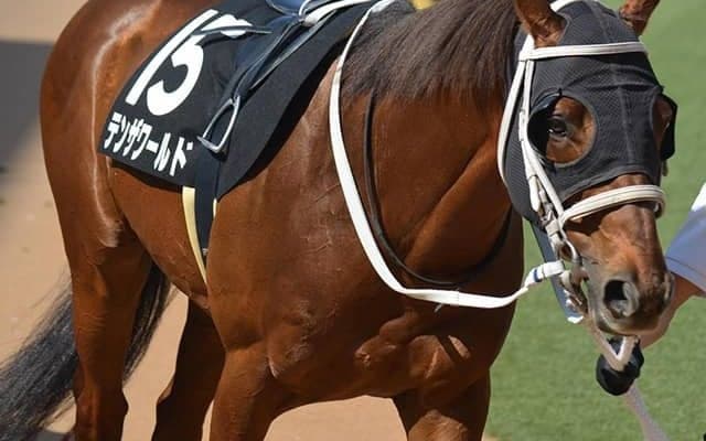 【JRA】土曜新潟で落馬の西谷誠騎手は左肩甲骨々折の疑い、騎乗馬テンザワールドは予後不良