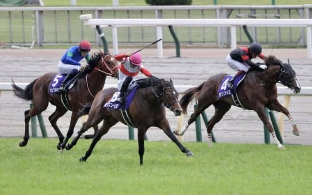 【NHKマイルカップ】1番人気 セリフォスは4着 今年の平地G1・1番人気が7連敗