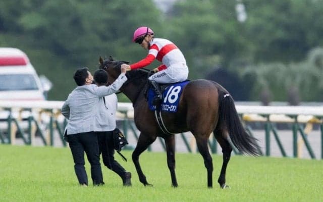【NHKマイルカップ】川田「今までで一番具合が良くレースを迎えられた」ダノンスコーピオンが戴冠