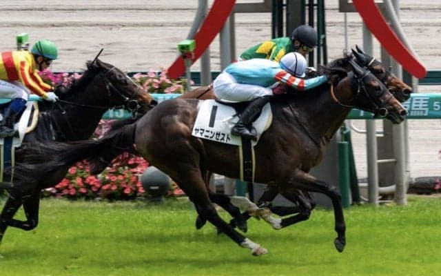 【中京5R】ルーキー鷲頭虎太がJRA初勝利