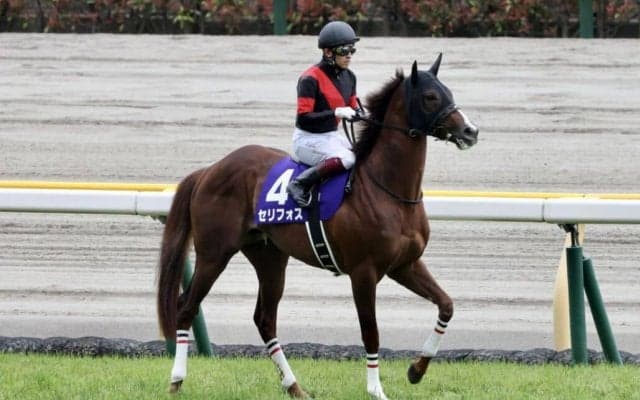 【NHKマイルカップ】福永「最後は伸びあぐねていた」レース後ジョッキーコメント