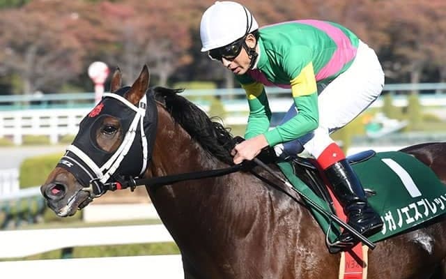 【京都ハイジャンプ想定騎手】タガノエスプレッソは石神深一騎手、ポルトラーノは草野太郎騎手