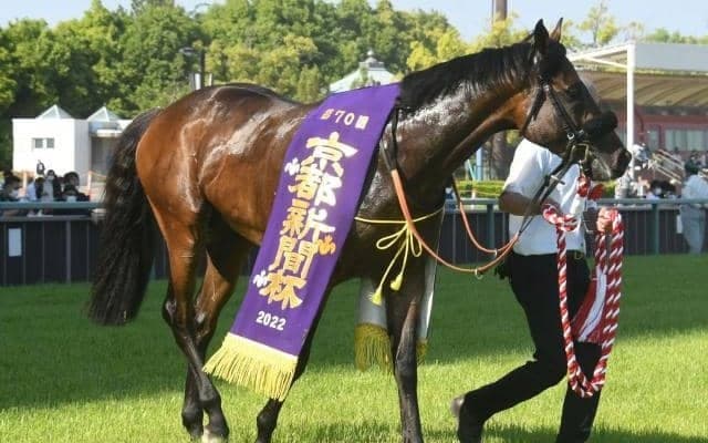 これまで2頭出走でいずれも勝ち上がり　あまり試されてこなかったキズナ×ゼンノロブロイ