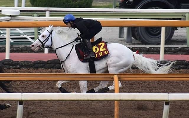 【ヴィクトリアマイル想定騎手】ソダシは吉田隼人騎手、デアリングタクトは松山弘平騎手