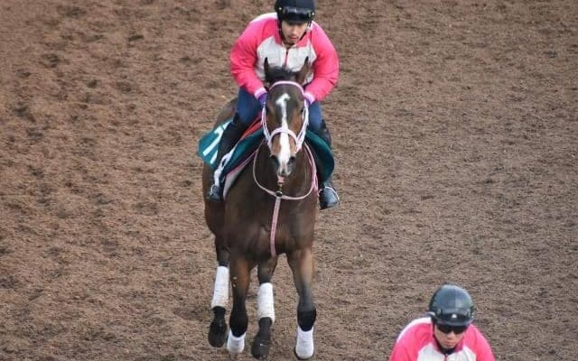 フォエヴァーダーリングの2020など、先週の入厩情報/栗東トレセンニュース