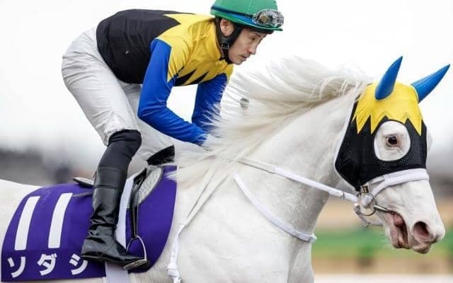 【ヴィクトリアマイル予想オッズ】ソダシが予想1番人気