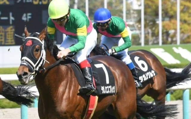 【京都ハイジャンプ予想オッズ】タガノエスプレッソが予想1番人気