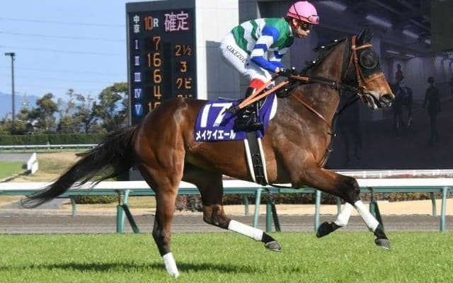 【京王杯スプリングC予想オッズ】メイケイエールが予想1番人気