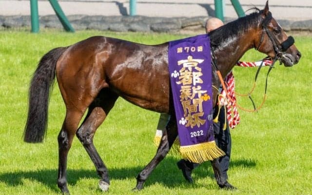 【京都新聞杯】岩田望「素晴らしい伸び」アスクワイルドモアがレコードV