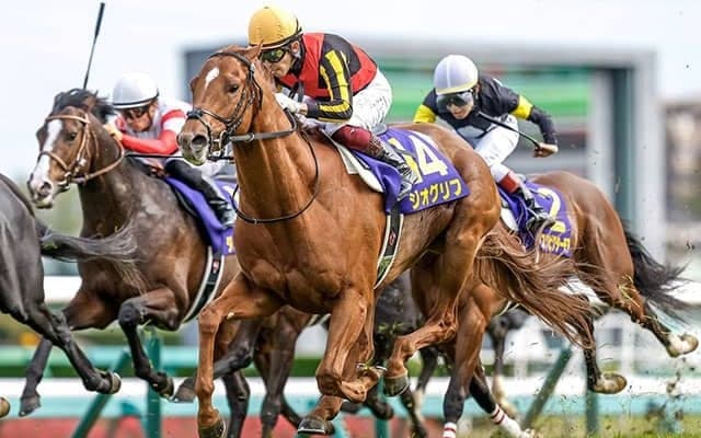 【日本ダービー想定】皐月賞馬ジオグリフ、昨年の最優秀2歳牡馬ドウデュースなど