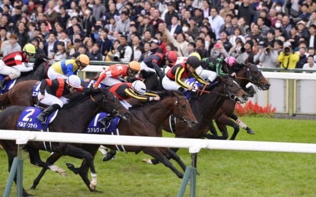 ステルヴィオが競走馬登録抹消