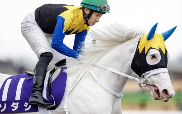 【ヴィクトリアマイル予想】Aiエスケープの指名はちょっと意外なあの馬!?　特に注目すべきは〇〇数