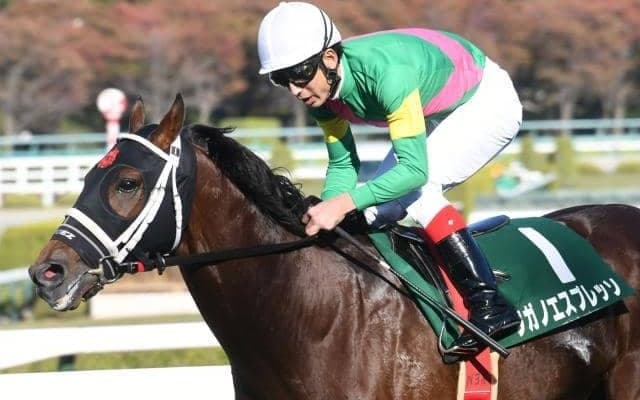 【京都ハイジャンプ出走馬・騎手確定】タガノエスプレッソ＆石神深一騎手、エコロドリーム＆五十嵐雄祐騎手など9頭